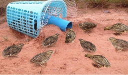 Mang quạt hỏng và sọt rác ra đồng, cậu bé thu được kết quả bất ngờ!